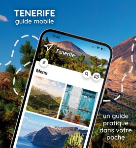 Teneryfa screeny FR www1.jpg