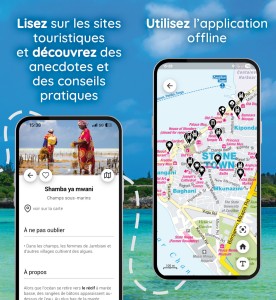 Zanziabar screeny FR www3.jpg