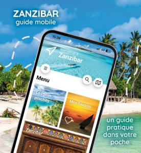 Zanziabar screeny FR www1.jpg