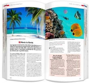 06c4faeea1d4dca93e893dcc84696315