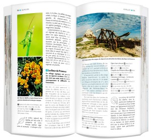 dcd09d0fb22bf8bced32f792f3b1888b